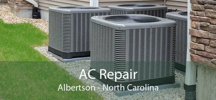 AC Repair Albertson - North Carolina