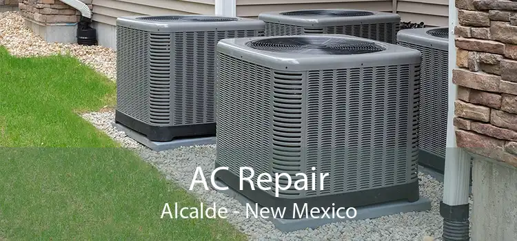 AC Repair Alcalde - New Mexico