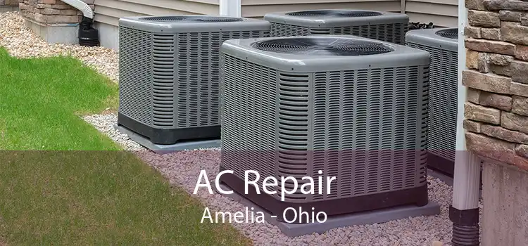 AC Repair Amelia - Ohio