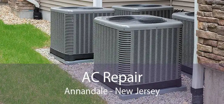AC Repair Annandale - New Jersey