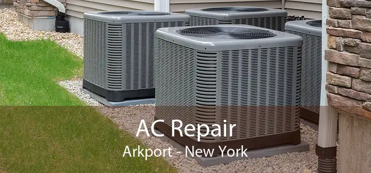 AC Repair Arkport - New York
