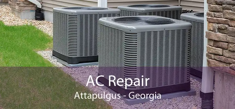 AC Repair Attapulgus - Georgia