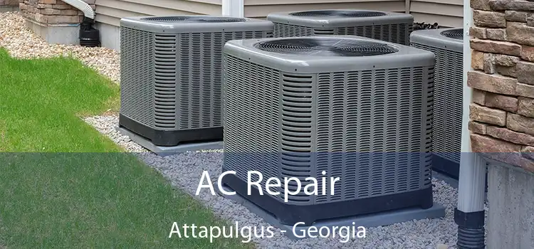 AC Repair Attapulgus - Georgia