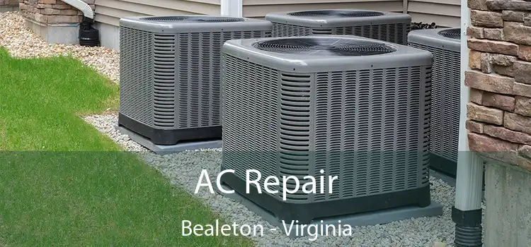 AC Repair Bealeton - Virginia