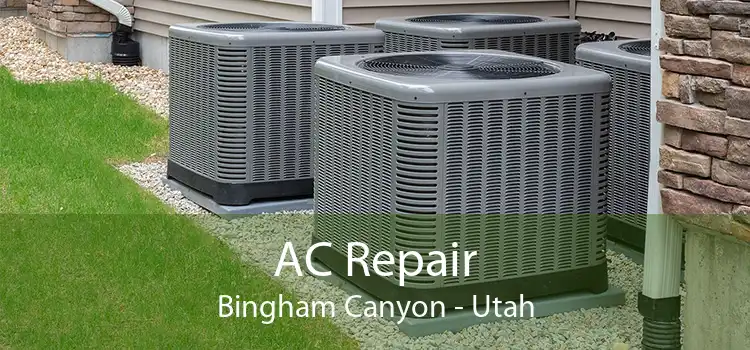 AC Repair Bingham Canyon - Utah