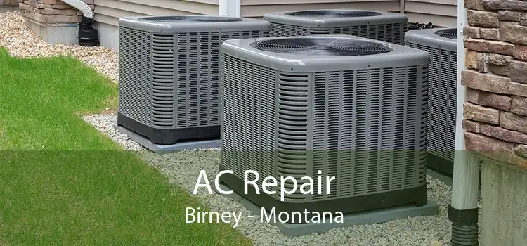 AC Repair Birney - Montana