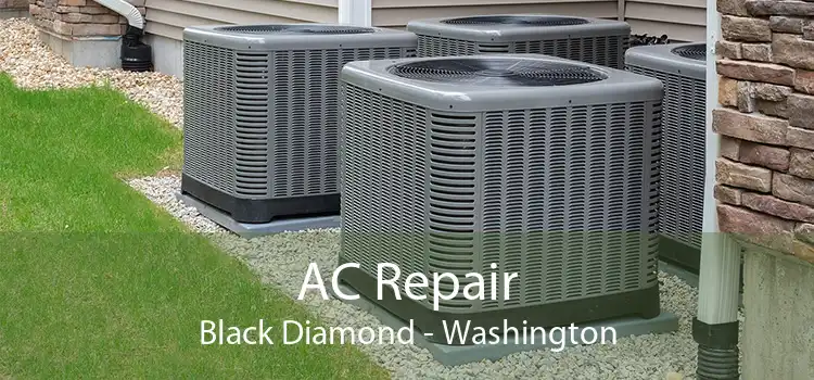 AC Repair Black Diamond - Washington