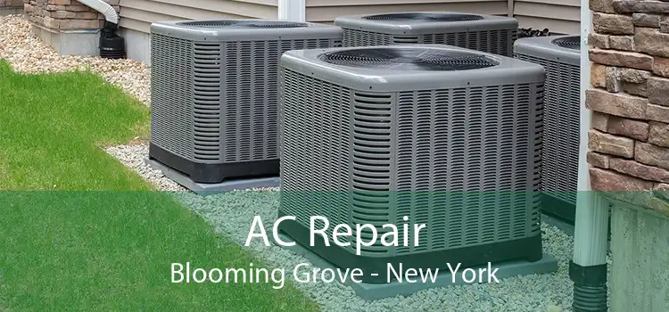 AC Repair Blooming Grove - New York