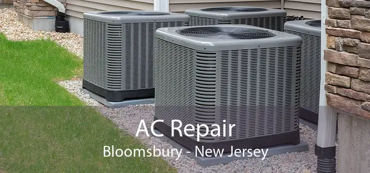 AC Repair Bloomsbury - New Jersey