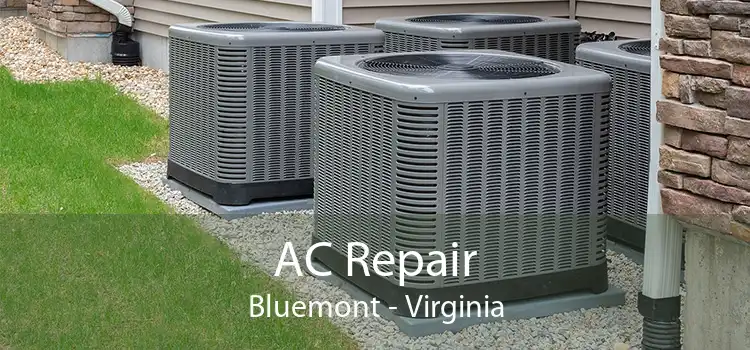 AC Repair Bluemont - Virginia