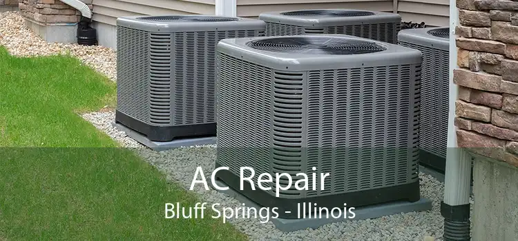 AC Repair Bluff Springs - Illinois