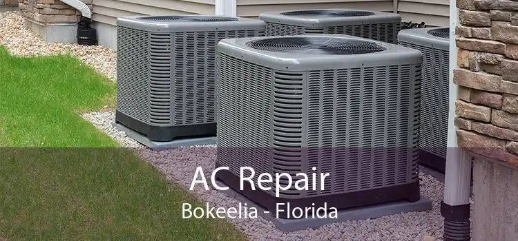 AC Repair Bokeelia - Florida