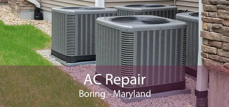 AC Repair Boring - Maryland