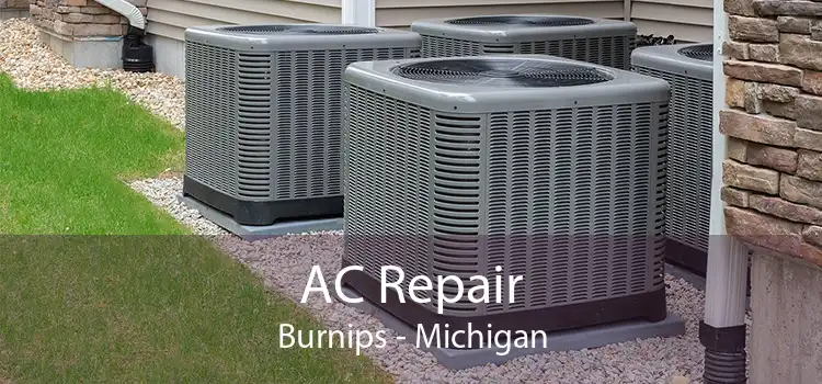 AC Repair Burnips - Michigan