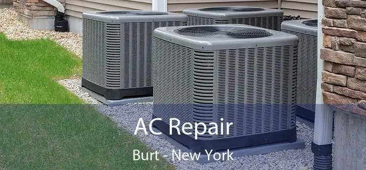 AC Repair Burt - New York