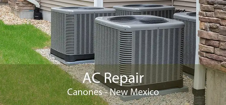 AC Repair Canones - New Mexico