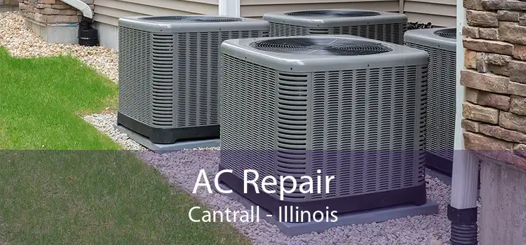 AC Repair Cantrall - Illinois