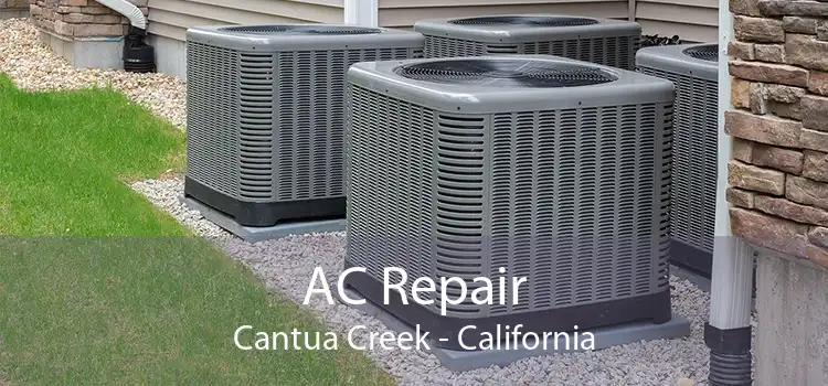 AC Repair Cantua Creek - California