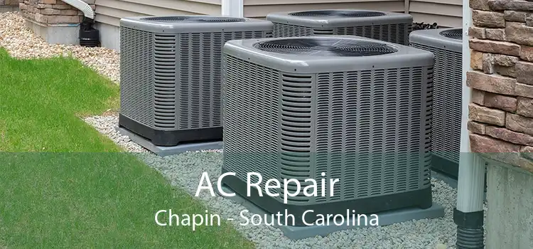 AC Repair Chapin - South Carolina