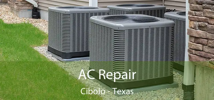 AC Repair Cibolo - Texas