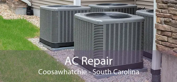 AC Repair Coosawhatchie - South Carolina