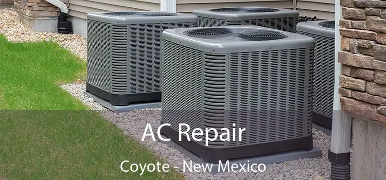 AC Repair Coyote - New Mexico