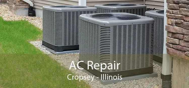 AC Repair Cropsey - Illinois