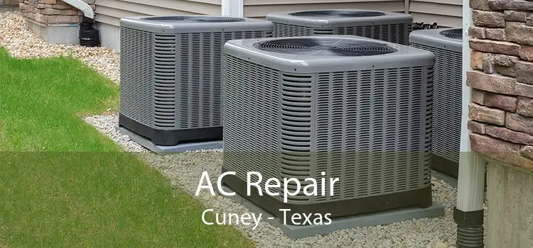 AC Repair Cuney - Texas