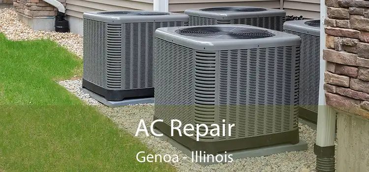 AC Repair Genoa - Illinois