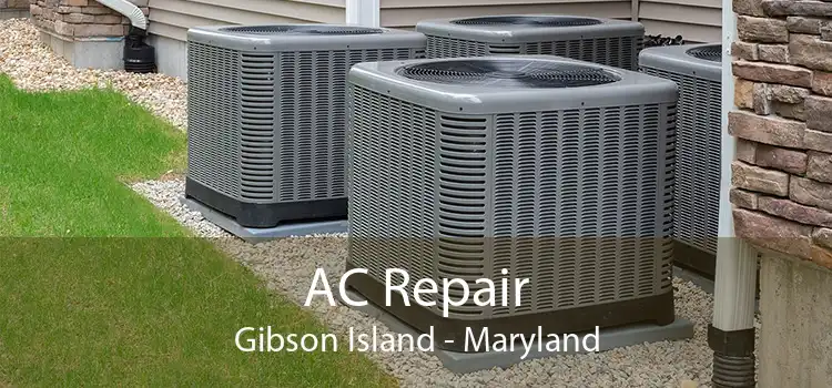 AC Repair Gibson Island - Maryland