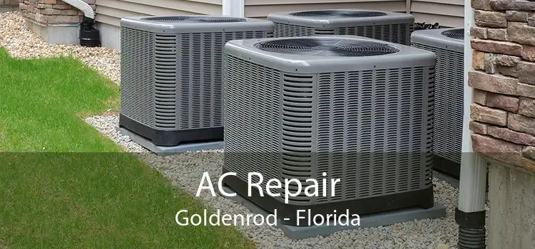 AC Repair Goldenrod - Florida