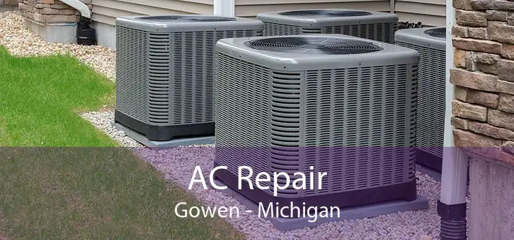 AC Repair Gowen - Michigan