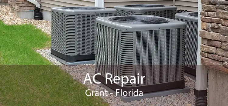 AC Repair Grant - Florida