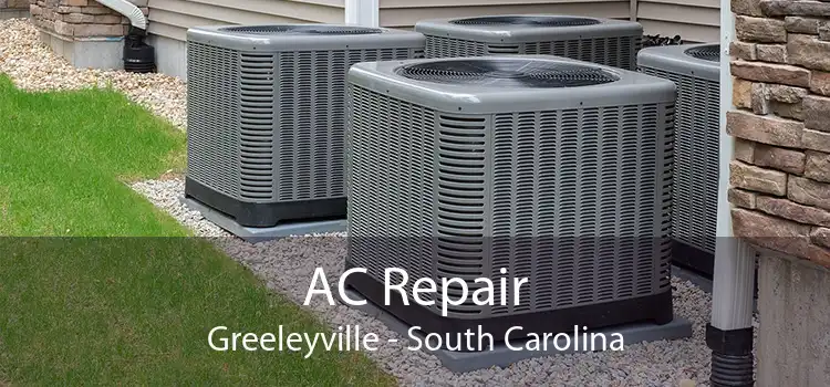AC Repair Greeleyville - South Carolina