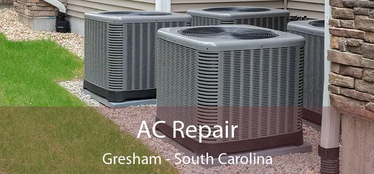 AC Repair Gresham - South Carolina