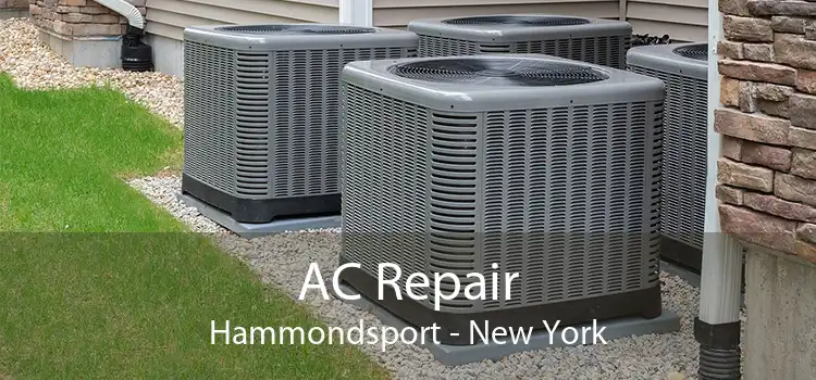 AC Repair Hammondsport - New York