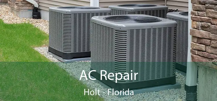 AC Repair Holt - Florida