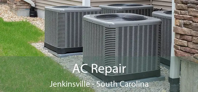 AC Repair Jenkinsville - South Carolina