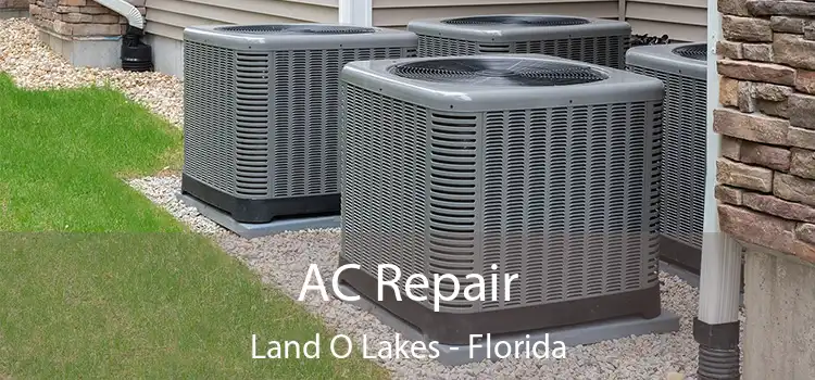 AC Repair Land O Lakes - Florida