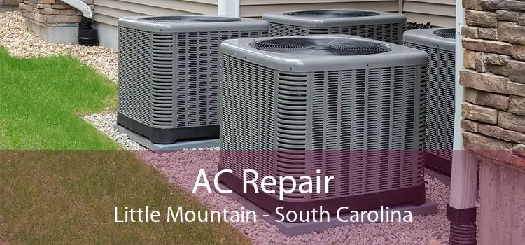 AC Repair Little Mountain - South Carolina