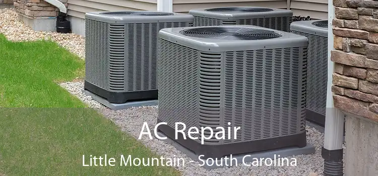 AC Repair Little Mountain - South Carolina