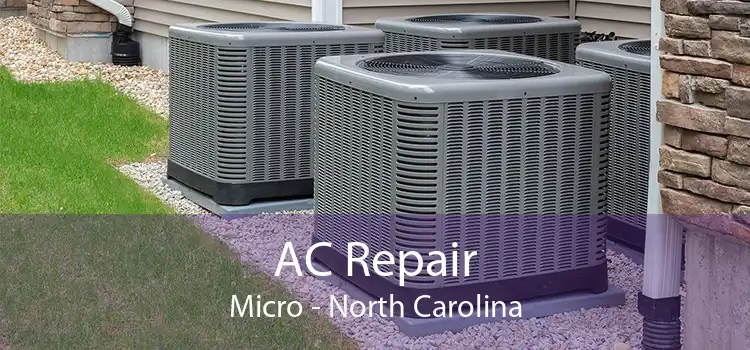 AC Repair Micro - North Carolina