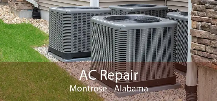 AC Repair Montrose - Alabama