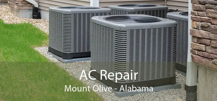 AC Repair Mount Olive - Alabama