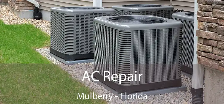 AC Repair Mulberry - Florida