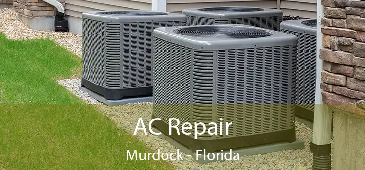 AC Repair Murdock - Florida