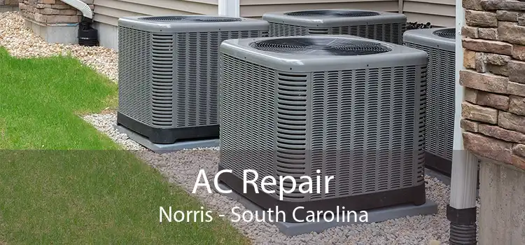 AC Repair Norris - South Carolina