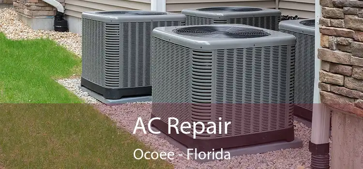 AC Repair Ocoee - Florida