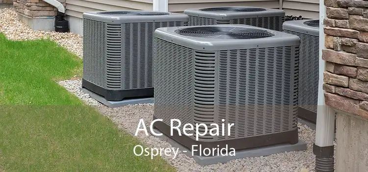 AC Repair Osprey - Florida