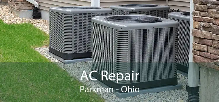 AC Repair Parkman - Ohio